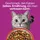 Whiskas 1+ Rind 800 g