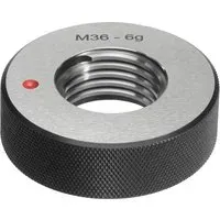 Fortis Aussch.-Gew.-Lehrring M4 6g