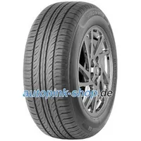 Fronway Ecogreen 66 205/55 R16 91V