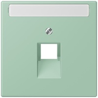 Jung Abdeckung für IAE/UAE LC 969-1 NAUA 217