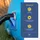 Villkin Pool Schlauchhalter 26-38 mm blau