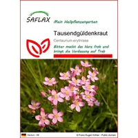 SAFLAX - Heilpflanzen - Tausendgüldenkraut - 250 Samen -