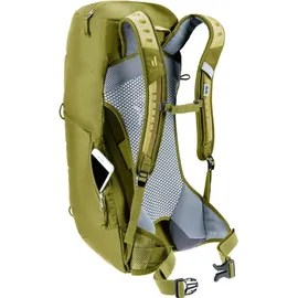 Deuter AC Lite 16 linden-cactus