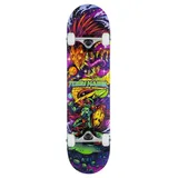 Shiner Tony Hawk skateboard Cosmic 7.75