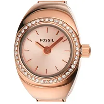 Fossil Watch ES5320