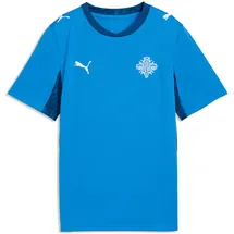Puma Island Heimtrikot 2026 Trainingsshirt blau Kinder Gr. 152