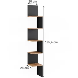 Vicco Eckregal Paolo 28 x 175,4 x 28 cm Anthrazit/Goldkraft Eiche