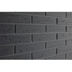 ELABRICK Verblender Blackpool 52x240mm, Paketinhalt: 1m2