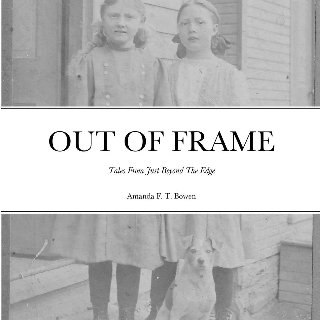 Out of Frame: Taschenbuch von Amanda F. T. Bowen