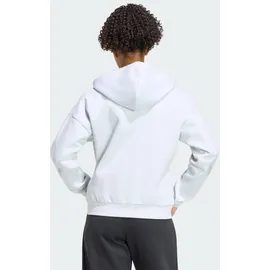 adidas Z.N.E. KAPUZENJACKE - Light Grey Heather