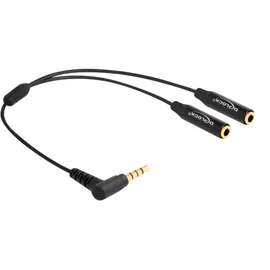 DeLock Audio Splitter 3,5mm Klinken-Stecker / 2x Klinken-Buchse 0,25m (66242)