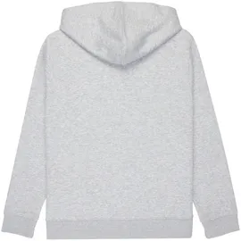 Element Hoodie Grey 14