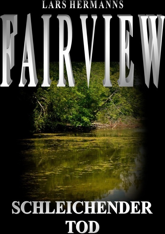 Fairview - Lars Hermanns  Kartoniert (TB)