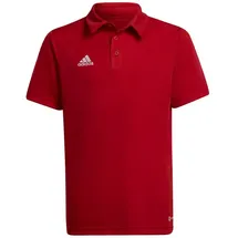 adidas Entrada 22 Polo Kinder - rot 140