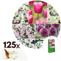 Plant in a Box - Blumenzwiebelmischung - 125 Stk