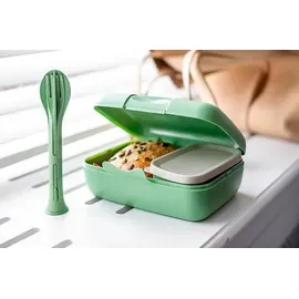 Koziol Lunchbox Set rechteckig grün 3-teilig