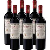 Doppio Passo Primitivo Puglia, Rotwein Italien, 6 x 750ml