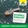 NEUDORFF Permanent InsektenRaumspray 500 ml