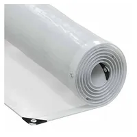 VidaXL Transparente Plane mit Ösen 2x10 m Polyethylen