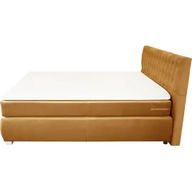 LEONIQUE Rumba 170 x 213 cm H3 Gold