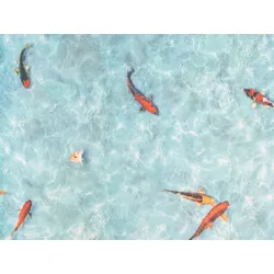 PVC Boden STARLIGHT - Koi - 2,00m x 1,00m