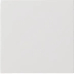 Gira Bedienaufsatz rws Flächenschalter 5360112