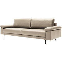 HÜLSTA SOFA 2,5-Sitzer hs.450 braun