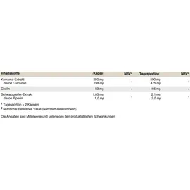 Peak Performance Curcumin Pro Kapseln 60 St.