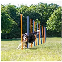Trixie Agility Slalom