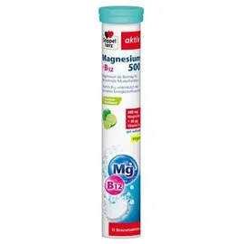 Queisser Doppelherz Magnesium 500+B12 Brausetabletten