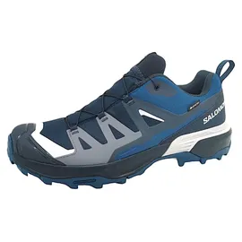 Salomon X Ultra 360 GTX Herren Carbon/India Ink/Deep Dive 44 2/3