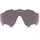 OAKLEY Jawbreaker 101-111-001 Prizm Daily Polarized/Grün