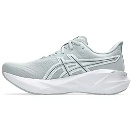Asics Novablast 5 Herren Grau / Silber 44