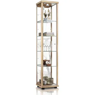 K-Möbel Vitrine Sammlervitrine 176 x 37 x 33 cm Braun