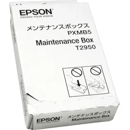 Epson C13T295000