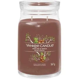Yankee Candle Signature Praline & Birch 567 g braun