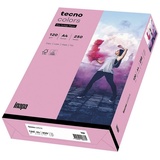 Inapa tecno colors A4 120 g/m2 250 Blatt rosa