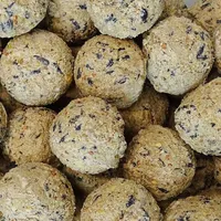 KLASEBO Meisenknödel Wildvögel 90 g