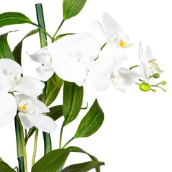 CREATIV green künstliche Pflanze Orchideen-Bambus Arrangement x2, ca 60cm, weiss, Real Touch, im Zementtopf Buddha