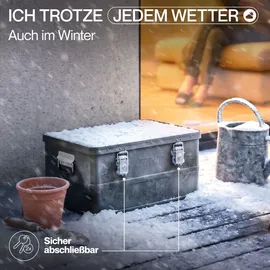 Trucky Aluminium Box mit Deckel 50 L 1-tlg. schwarz