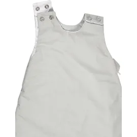 Sterntaler Babyschlafsack 62/68 Dino Rexi - Schlafsack leicht wattiert aus weichem Polycotton - mit 2-Wege Reißverschluss & Druckknöpfen an Schulter, graublau