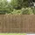vidaXL Gartenzaun 300 x 80 cm Schilf/Braun