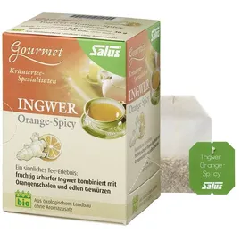 SALUS Orange Ingwer Kräutertee 15x2 g