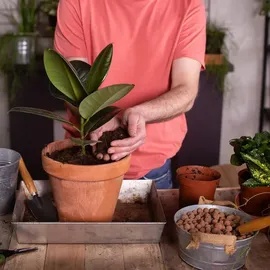 Biovita Blumenerde 5 l