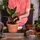 Biovita Blumenerde 5 l