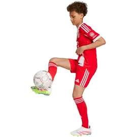 adidas FC Bayern München Heimtrikot 2025/26 Kinder rot Gr. 128