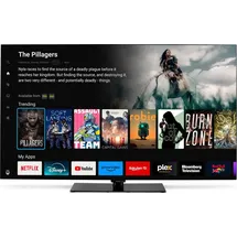 Medion MD865901 65" 3840 x 2160 Pixel OLED 4K Fernseher