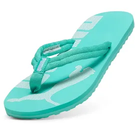 Puma EPIC FLIP V2 grün 48,5