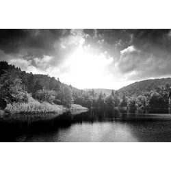 Fototapete PAPERMOON "Landschaft Schwarz & Weiß", schwarz (schwarz, weiß), B:4,50m L:2,80m, Vlies, Tapeten