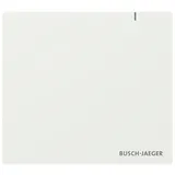 Busch-Jaeger SAP.13 System Access Point 3.0 2CKA006200A0868 SAP13